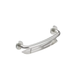 Plus Shampoo Shelf Grab Bar